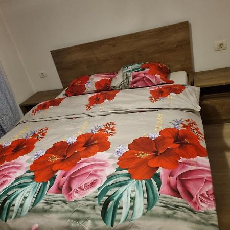 Caci Appartement Črni Kal Buitenkant foto
