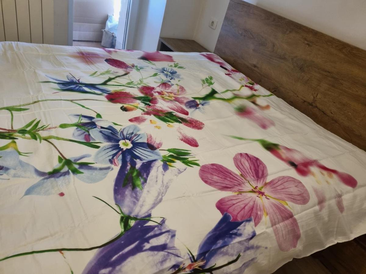 Caci Appartement Črni Kal Buitenkant foto