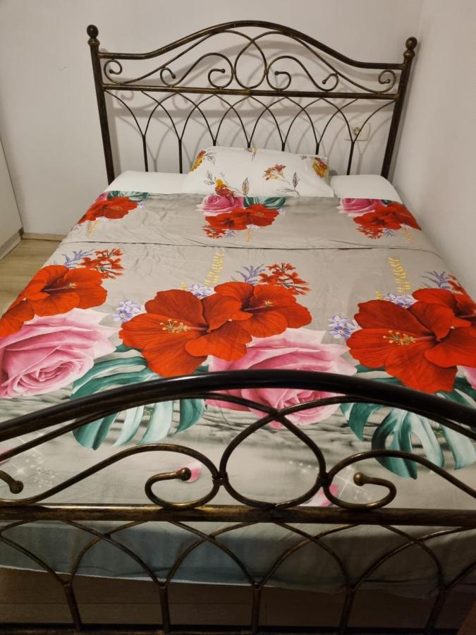 Caci Appartement Črni Kal Buitenkant foto